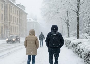 Météo en direct : 3 à 5 cm de neige à Grenoble et Annecy, les flocons persistent.