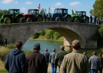 Vaucluse : Le pont de Bonpas a été bloqué par des agriculteurs mercredi.
