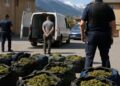 Briançon : saisie de 55 kg de cannabis chez un Espagnol.