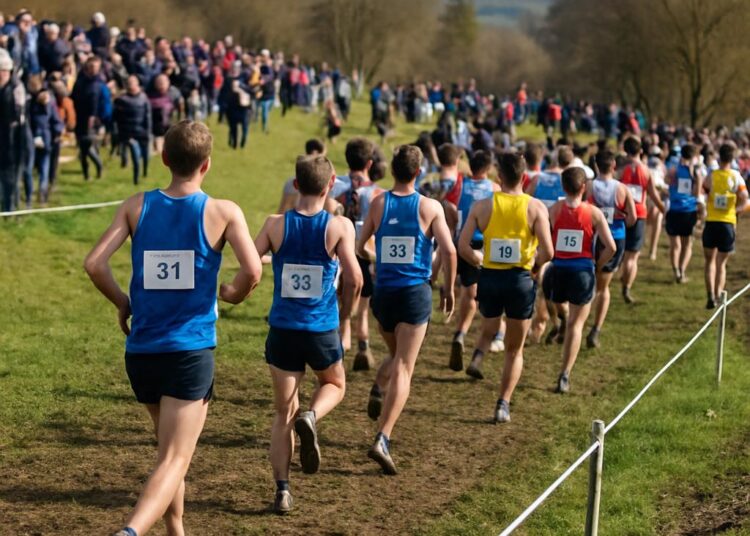 Athlétisme : Les championnats de France de cross-country à Carhaix, un succès pour Gap.
