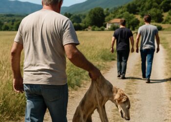 Alpes-de-Haute-Provence : Un homme tue son chien après avoir agressé son père.