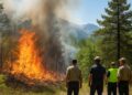 Hautes-Alpes : un feu de sous-bois causé par un écobuage imprudent à Guillestre