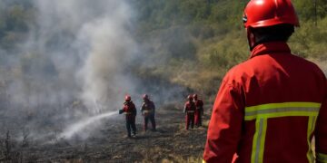 Savoie : 7000 m² de végétation ravagés par un incendie, 20 pompiers en action.