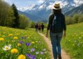 Hautes-Alpes : Quelles fleurs de printemps peut-on observer ?